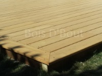 terrasse_exotique_albi_toulouse